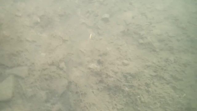 первая съемка под водой смотреть онлайн