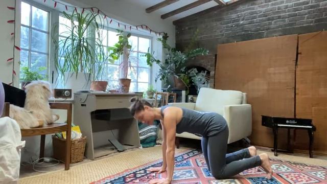 Stretch and Strength with Mira смотреть онлайн