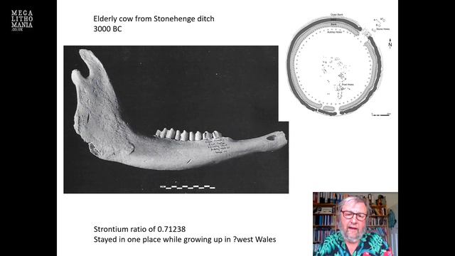 Prof. Mike Parker Pearson | The New Archaeology Of Stonehenge | Megalithomania 2021