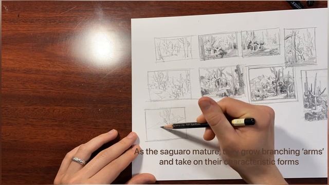 Thumbnail Drawings of the Sonoran Desert смотреть онлайн