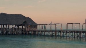 Красивый пейзаж природы с расслабляющей музыкой для снятия стресса, медитации, релаксации, сна HD