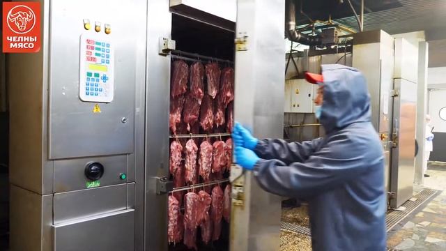 ЧЕЛНЫ-МЯСО. О компании смотреть онлайн
