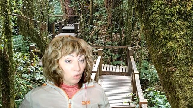 Сувениры с Шри ланки (часть 1) Или история чая - Алла Алтунина אופיר טורס | Ophir Tours смотреть онлайн