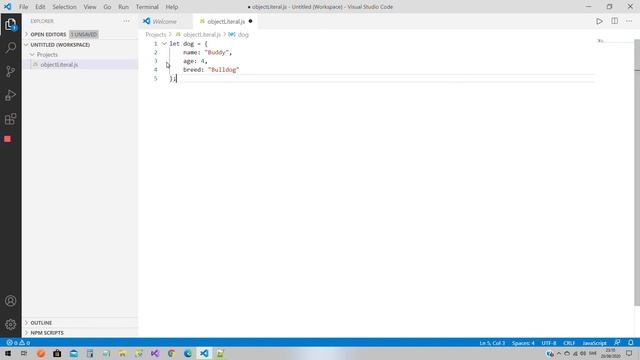 How to create an object literal | JavaScript Basics смотреть онлайн