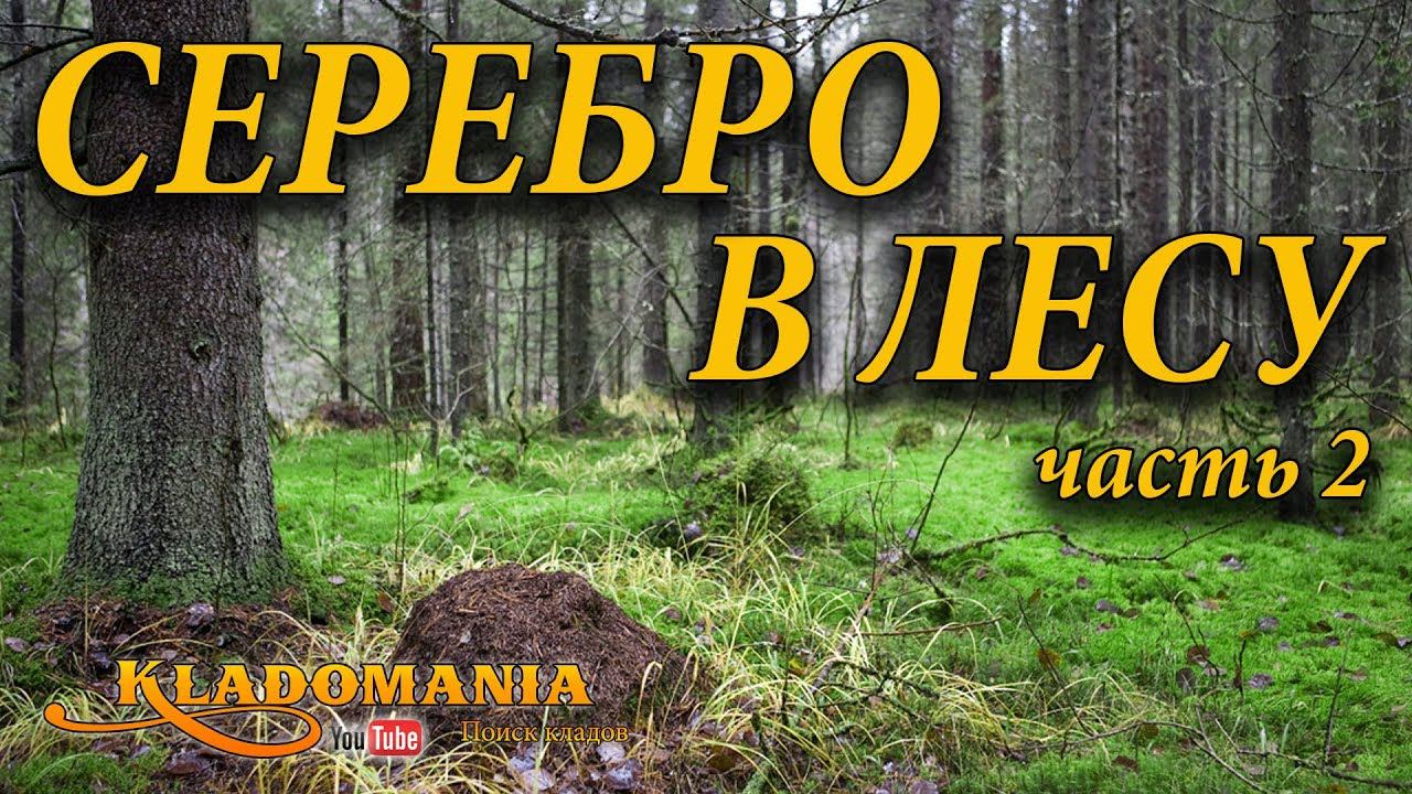 ПОИСК КЛАДОВ С ЛЕСУ. СЕРЕБРО в лесу Часть 2. Кладомания смотреть онлайн