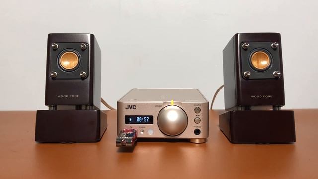 Loa màng gỗ JVC EX-NW1 смотреть онлайн