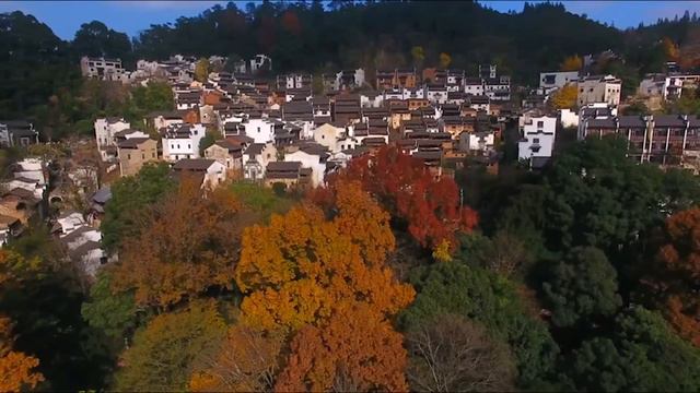 【古琴版】放鬆冥想，讓心靈平靜！古琴名曲欣赏 - Music to the soul - 無論什麼時候卡住或累了都聽聽！Ancient Chinese instrument - Guqin смотреть онлайн