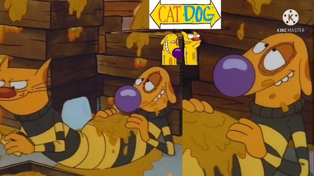 CatDog CatDog’s Gold Fandom Wiki Article Reading//CatDog Season 3 Honey 🍯 Nick Rewind