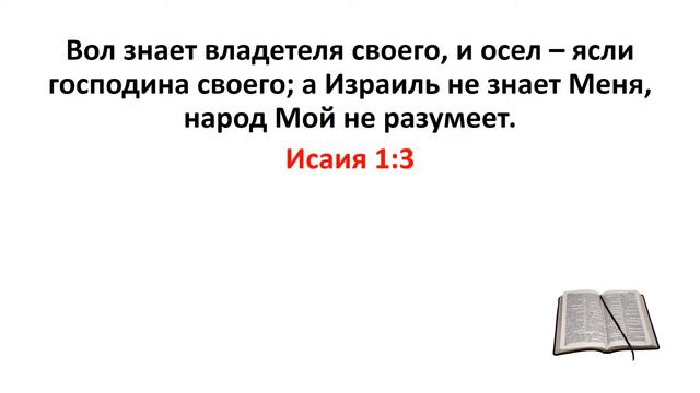 Библия, Ветхий Завет. Исаия 1:3 смотреть онлайн