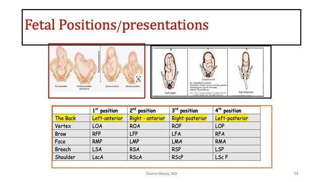OBSTETRIC CASE TAKING - part 2 - Educational смотреть онлайн