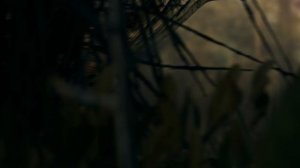 Смертельный бой динозавров (документальный фильм, 2015)