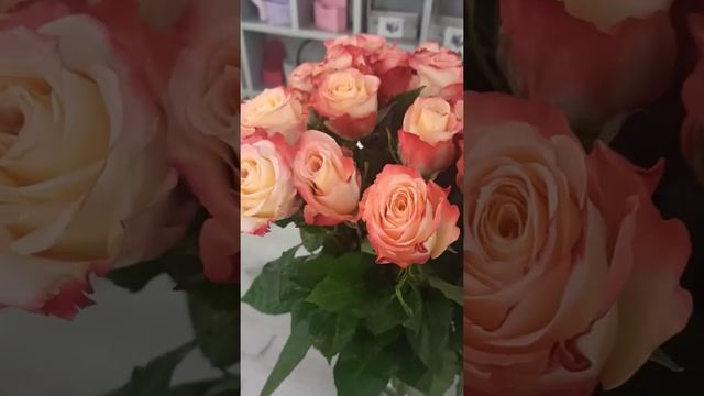 Spbroza.ru Роза Эквадор сорт Кабаре , букет 25 роз смотреть онлайн