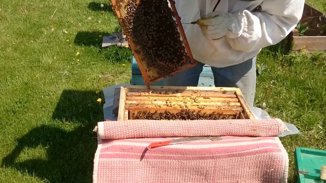 Удаление маточников смотреть онлайн