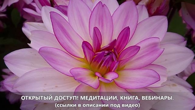 Это очень благоприятное затмение, которое предлагает нам дар омоложения и исцеления смотреть онлайн