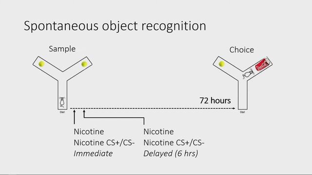 24th Annual Duke Nicotine Research Conference - Francesco Leri, PhD смотреть онлайн