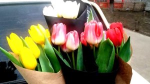 КАК ПРОДАВАТЬ ТЮЛЬПАНЫ НА 8 МАРТА / БИЗНЕС НА 8 МАРТА
