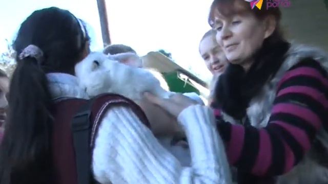 Здесь есть на что посмотреть: в Сочи "Живой мир открывает тайны" смотреть онлайн