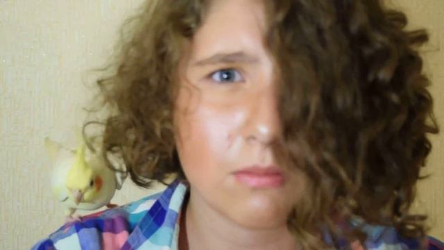 ох уж эта Чарли( попугай корелла) Развина Софья