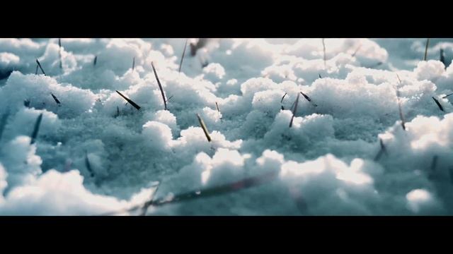 Shunia – "Akal" OFFICIAL MUSIC VIDEO смотреть онлайн