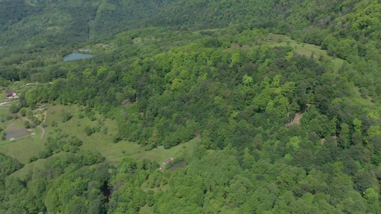 Парк-отель на чайных плантациях TeaVillage (съемка участка) смотреть онлайн