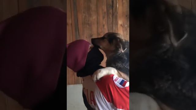 Щенок из приюта в дар Спб смотреть онлайн