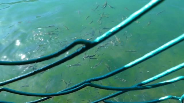 Путешествие в Крым на машине 9 смотреть онлайн