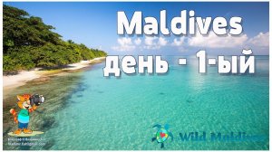 Дикие Мальдивы:  День 1-ый  |  Wild Maldives: Day 1