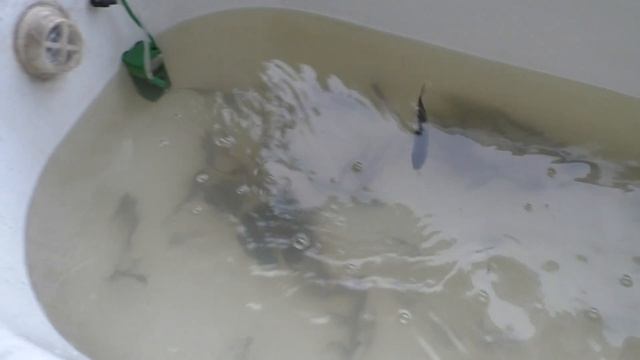 НИВА 21213 оторвало площадку реактивной тяги ч.7 Аккумуляторная болгарка ZITREK смотреть онлайн