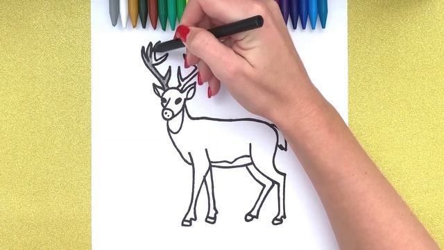 Deer Drawing: How To Draw A Deer ?EASY Step by step drawing  coloring  Super Easy Drawing