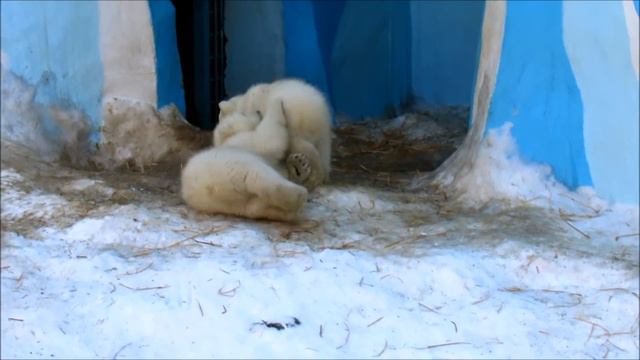 Малыши Герды. Беззаботное детство . 22.03.19 г. смотреть онлайн