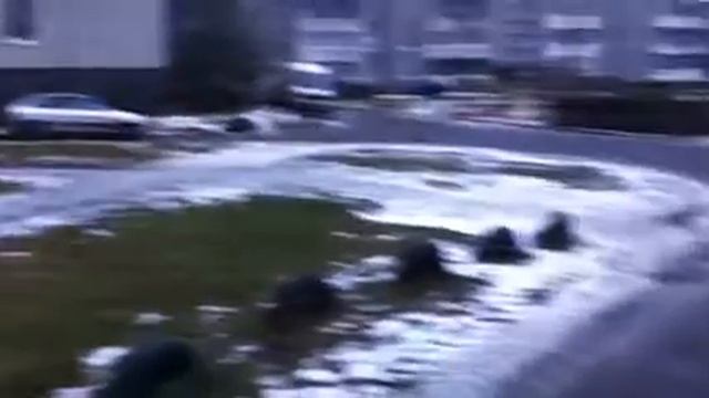 Трактор убирается на кукковке смотреть онлайн