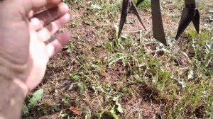 настоящий ботвоудалитель для минитрактора