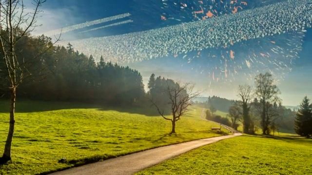 Соединитесь с вашим Божественным Я и почувствуйте себявечным, бессмертным смотреть онлайн