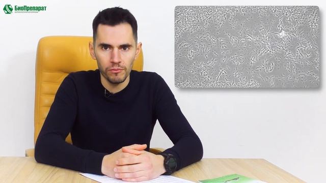 Совместное применение Trichoderma и Bacillus subtilis в одной баковой смеси смотреть онлайн