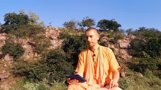 Шри Вриндаван Махимамрита 02.88. Говардхан. Е.С. Ананда Вардхана Свами. 19.10.2021 смотреть онлайн