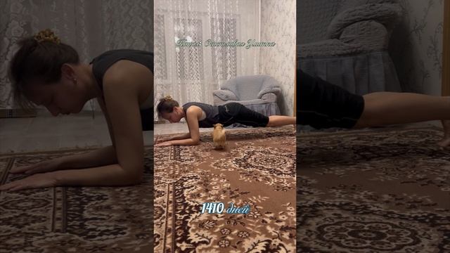 Планка 1410 дней смотреть онлайн