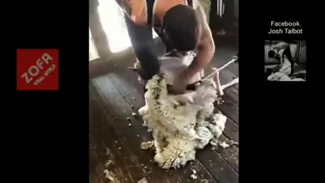 Так легче баран стричь попробуйте сами