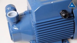 Хочешь ПЕДРОЛЛО  Насос Pedrollo PQ 300