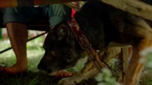 Песня "Одной рукой не хлопают в ладошки". Автор муз. и исполнитель Александр Татевосян. Сл. Ю.Соболя