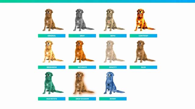 CSS Image Filters: Adding Visual Effects To Images (Udemy & SkillShare Course Trailer) смотреть онлайн