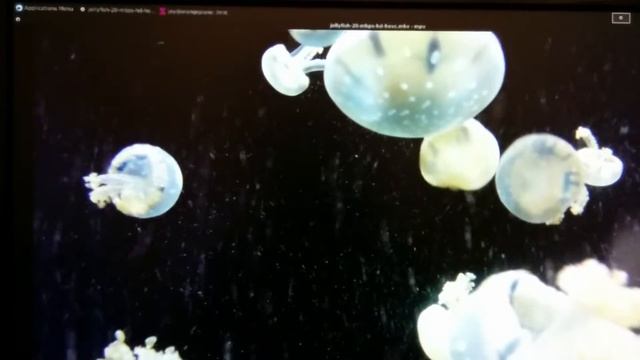 Orange Pi One playing HEVC videos смотреть онлайн