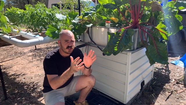 How To: Lower The Temperature Of Your Hydroponic Reservoir