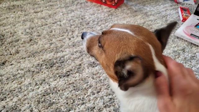 США День Рождения внуку 7 лет и переезд...Жизнь в доме...Жара 45C. смотреть онлайн