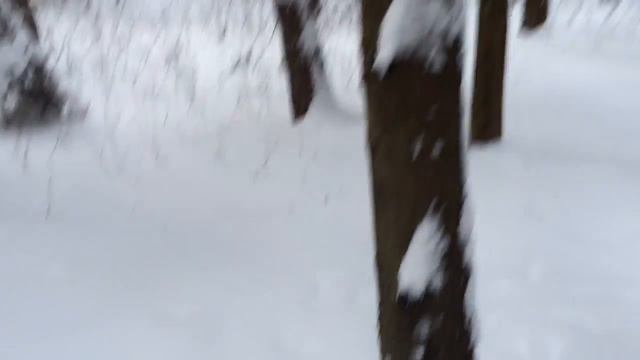 О том, как я издеваюсь над своим псом. смотреть онлайн