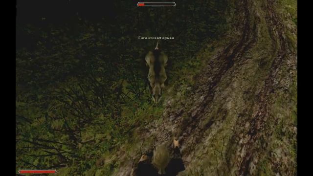 Крысы.  Тактика одноручника (Готика 2 НВ)