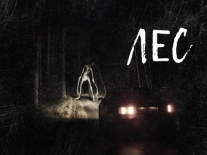 Страшные истории на ночь: случай в лесу