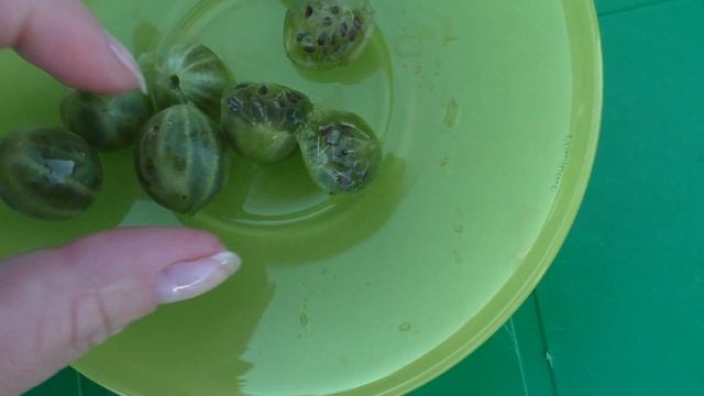 Английский желтый, среднеранний супер сладкий сорт крыжовника. смотреть онлайн
