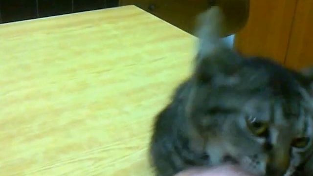 Vakumirka Chuppet-Igra смотреть онлайн