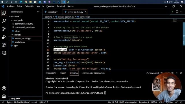 PYTHON COURSE #12 - Sockets смотреть онлайн