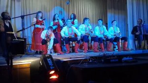 Вокально инструментальный ансамбль Ложкари  Михайлюки